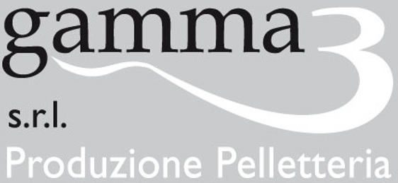 logo gamma3 (2)